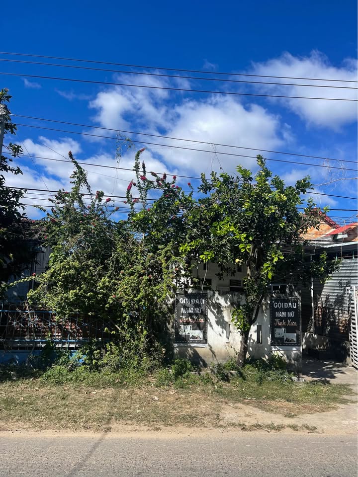 Bán đất Đào Duy Từ, Kon Tum 228m² - Đầu tư sinh lời tốt!