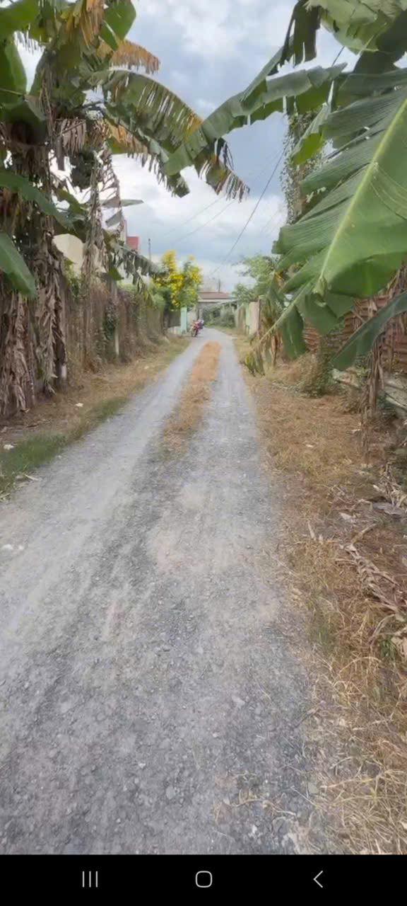 Bán gấp 2 căn nhà ấp Cây Da, Tân Phú Trung, 757m² chỉ 4.5 tỷ - Cơ hội đầu tư tuyệt vời!