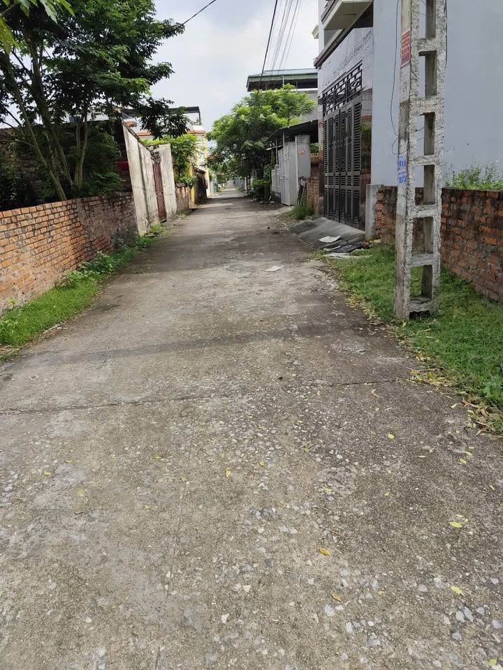 Đất TDC Thụy Vân 74.9m² giá 700 triệu - Pháp lý rõ ràng, vị trí đắc địa!