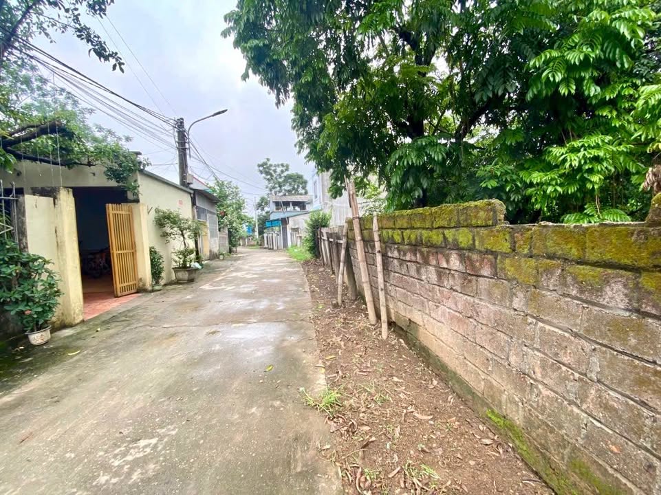 Đất thổ cư Dân Chủ Hòa Bình 125m² giá 1 tỷ - Ngõ ô tô thông thoáng