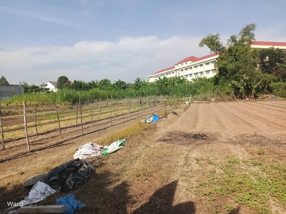 Đất An Thạnh 1500m² giá 5.2 tỷ - Sổ đỏ chính chủ, đường ô tô vào tận nơi!