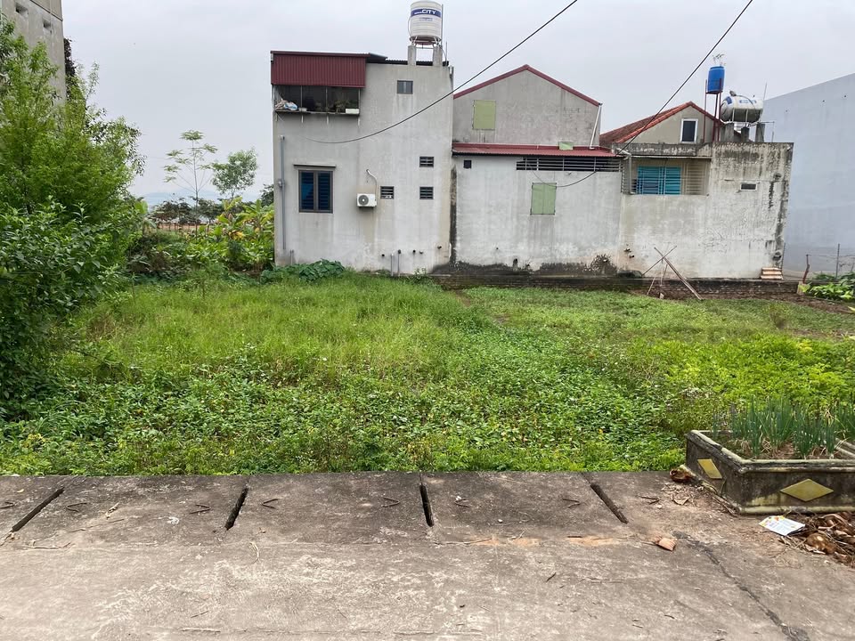 Đất nền Bảo Yên, Thanh Thủy 132m² giá 2 tỷ - Vị trí hiếm có, đầu tư chắc tay!