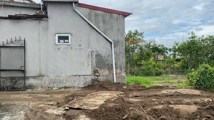 Đất nền Tiên Minh, Tiên Lãng 71m² chỉ 400 triệu - Sổ hồng trao tay!