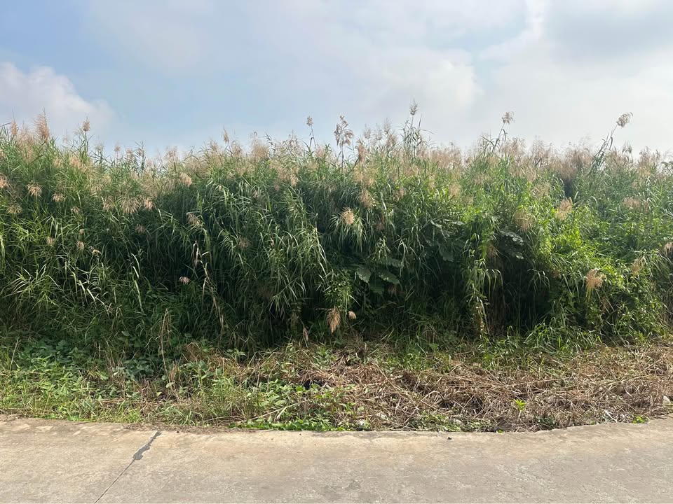 Đất thổ cư mặt tiền hẻm 79, Châu Thị Kim, 165m² giá 920 triệu - Sổ hồng chính chủ!