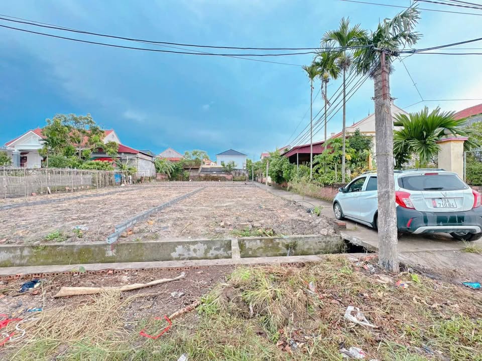 Đất thổ cư Khu 4 Phùng Nguyên Lâm Thao 100m² giá chỉ 400-600 triệu - Cơ hội đầu tư hấp dẫn!