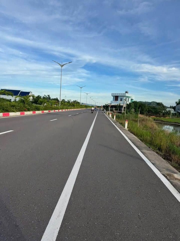 Đất vườn Phước Hiệp, Tuy Phước 1500m² giá cực hấp dẫn - Đầu tư sinh lời ngay!