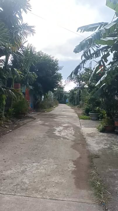 Đất nền thổ cư Ea Wer Buôn Đôn 900m² chỉ 1.3 tỷ - Cơ hội đầu tư sinh lời vượt trội!