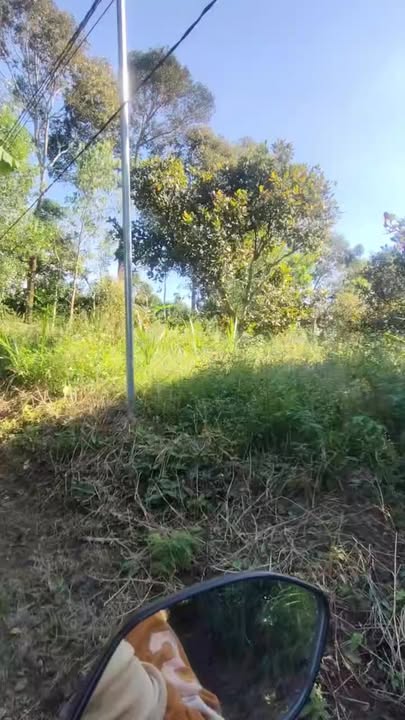 Đất nền 1000m² xã Xuân Thành giá chỉ 499 triệu - Cơ hội đầu tư hấp dẫn!