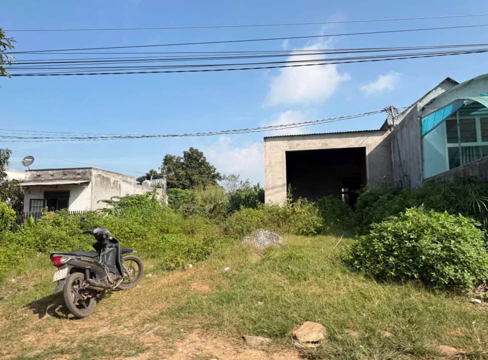 Đất mặt tiền Quốc Lộ 27 Tân Hội 270m² chỉ 2.7 tỷ - Đầu tư sinh lời ngay!