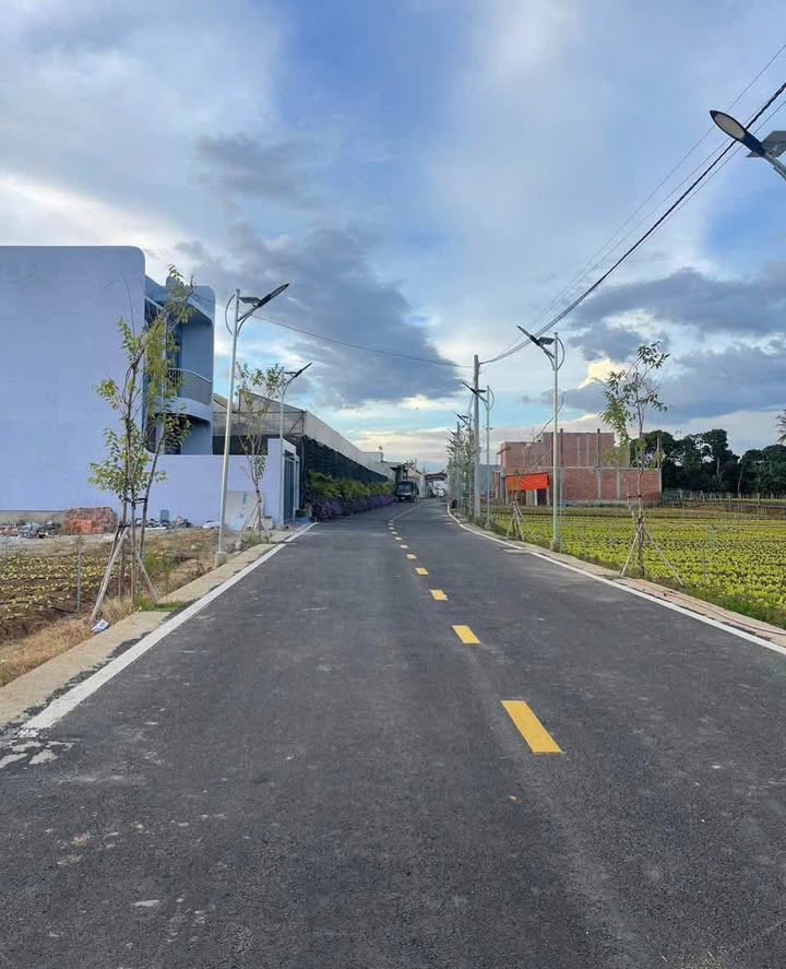 Đất nền khu Mai Anh Đào - Phú Hội 115m² chỉ 1.39 tỷ - Cơ hội đầu tư lý tưởng!