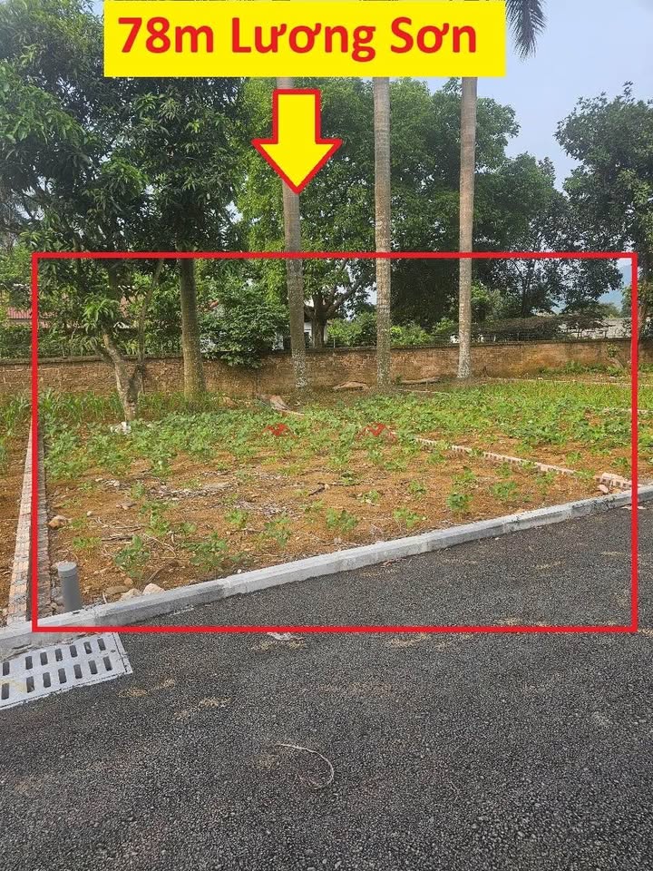 Đất nền Nhuận Trạch 78m² giá 1 tỷ - Chính chủ bán gấp!