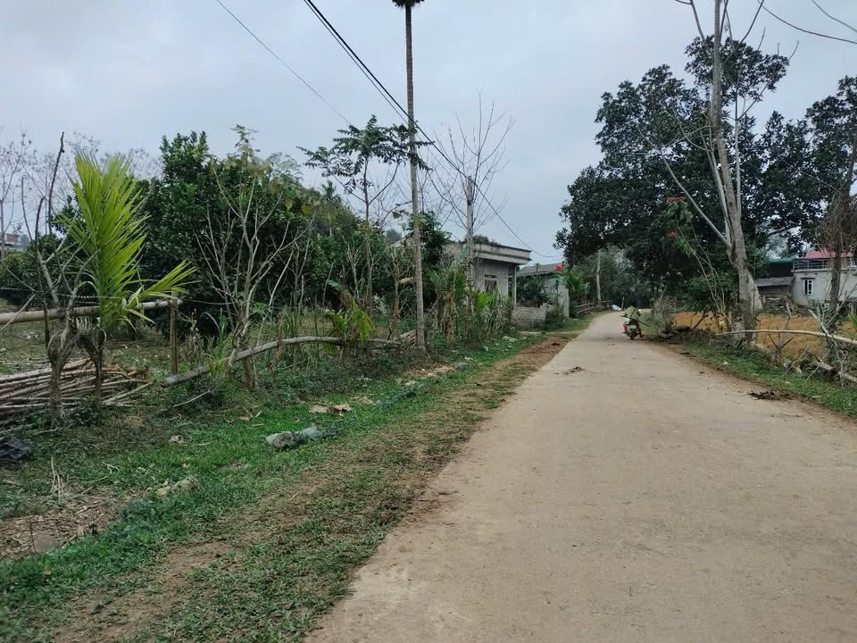 Đất nền xóm Kè, xã Phú Vinh, huyện Tân Lạc, 480m² giá 400 triệu - Tiềm năng đầu tư lớn!