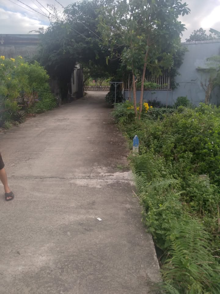 Đất nền Phước Đồng Nha Trang 80.2m² giá 300 triệu - Sổ chung, bớt lộc!