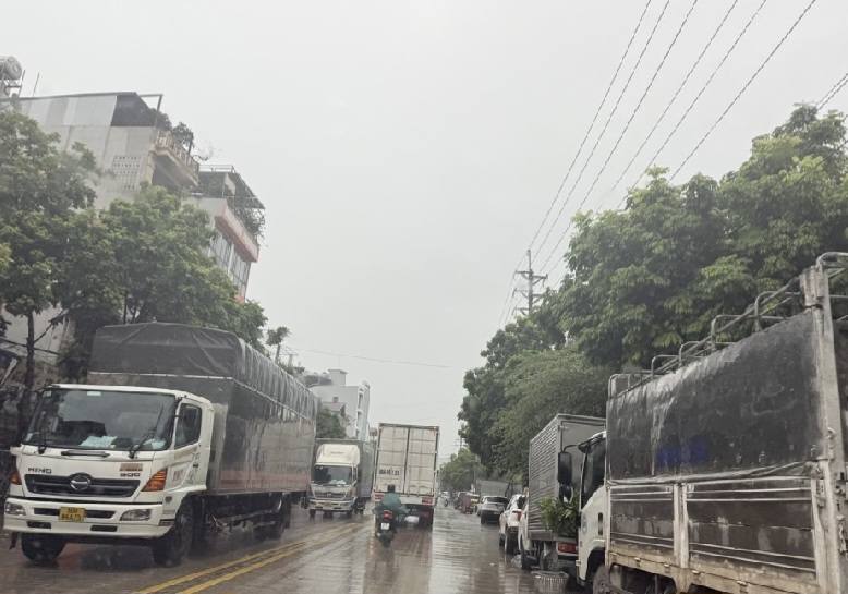 Đất nền Quang Minh, Đông Anh 63.1m² giá 3 tỷ - Đầu tư sinh lời ngay!