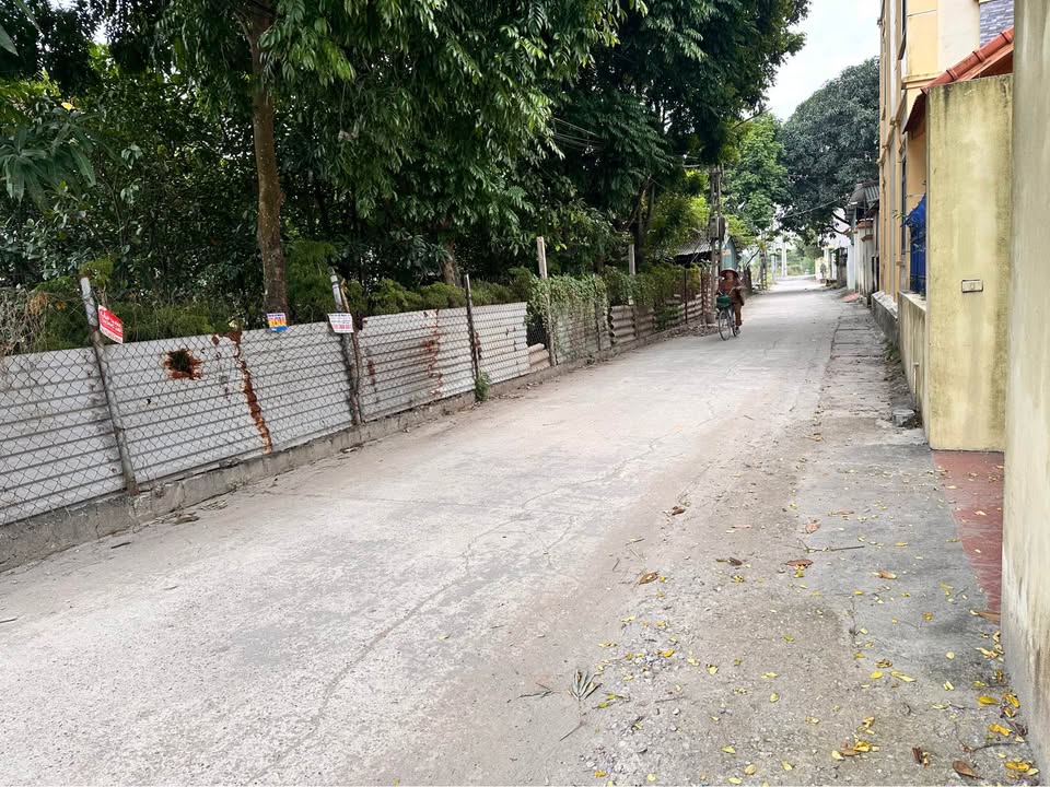 Đất Đài Bi, Đông Anh 39m² - Ô tô đỗ cửa, tiện ích xung quanh sầm uất!