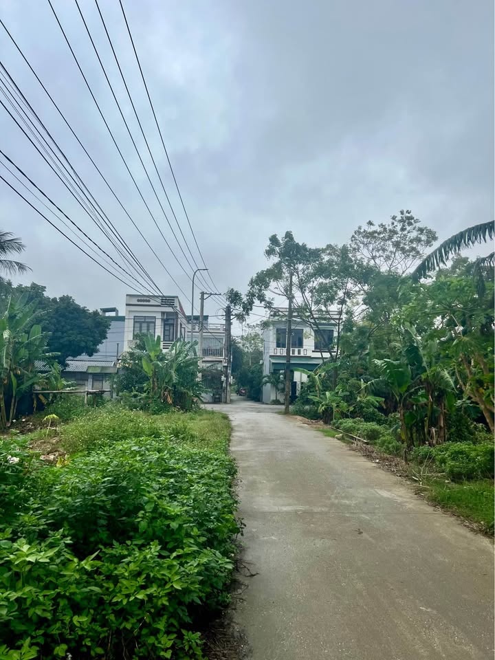 Đất thổ cư Đông Hải 112.5m² giá 2.4 tỷ - Mặt tiền rộng, giao thông thuận tiện!