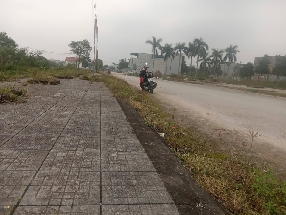 Đất nền Tân Phong, Quảng Xương 125m² - Đường rộng thoáng, tiện ích đầy đủ!