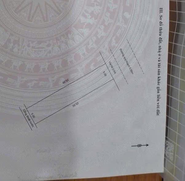 Đất Mặt Tiền Khu Đông Hải, Ngũ Hành Sơn, Đà Nẵng 125m² giá 5 tỷ - Đầu tư lý tưởng!