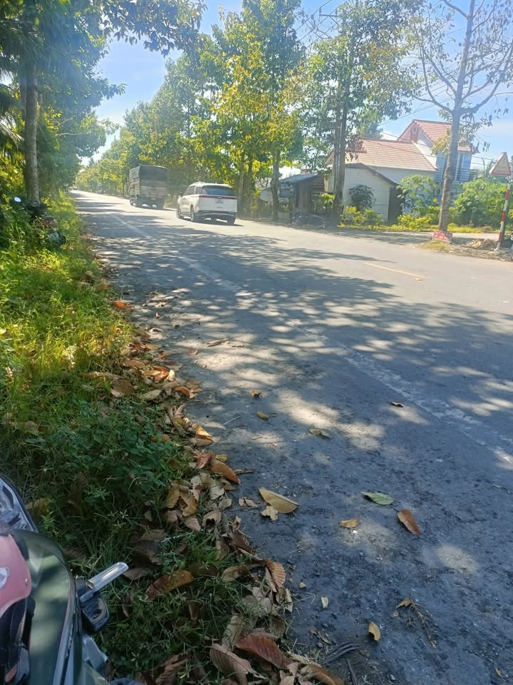 Đất vườn mặt tiền Trương Vĩnh Trọng, Giồng Trôm 2700m² giá 3.6 tỷ - Cơ hội đầu tư hấp dẫn!