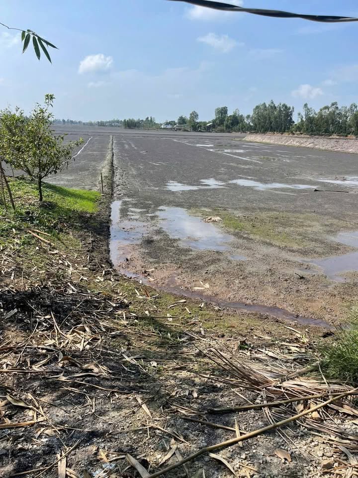 Đất Nhị Mỹ 1100m² giá 370 triệu - Đường nhựa gần trung tâm