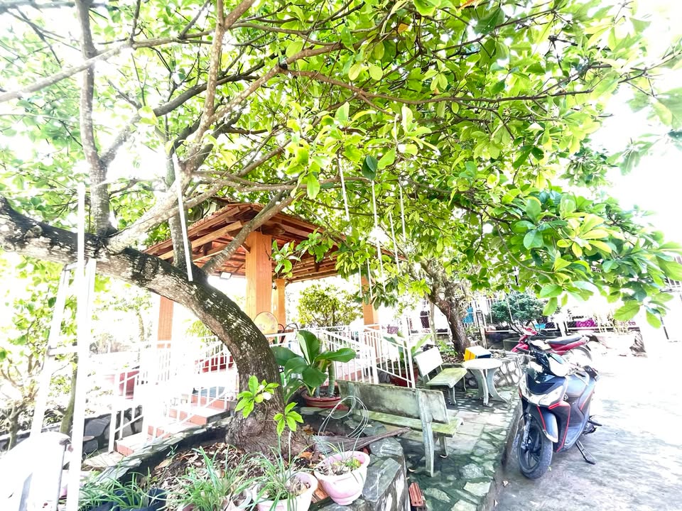 Đất nền Ấp Bình Tạo A, Trung An 105m² giá chỉ 1 tỷ - Đầu tư sinh lời ngay!