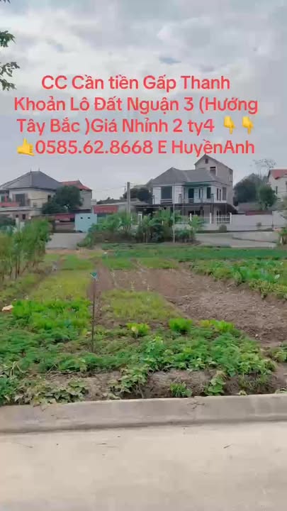 Đất Nền Dĩnh Trì Bắc Giang 75m² giá 2.4 tỷ - Cần tiền gấp!