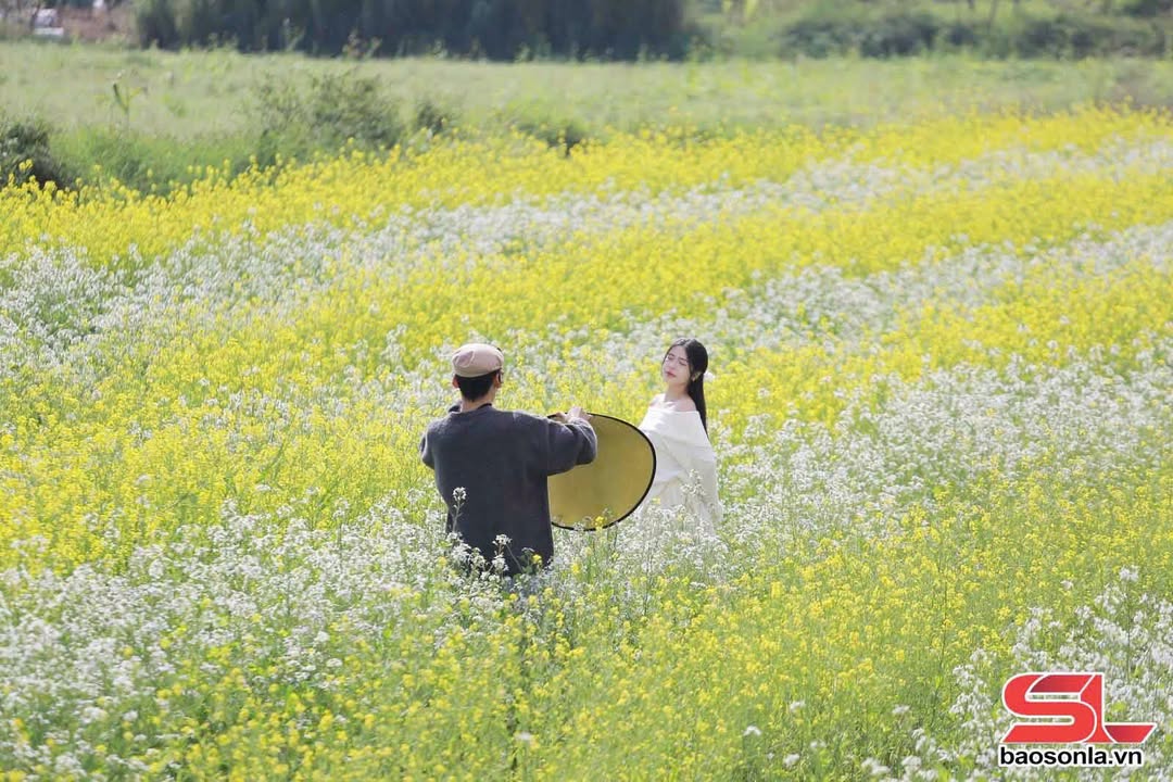 Đất mặt tiền 3750m² TDP Pa Khen, Sơn La - Tiềm năng du lịch cực cao!