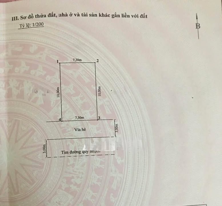 Đất nền tại Đường Dứa, Hải An, Hải Phòng 73m² - Cơ hội đầu tư sinh lời!