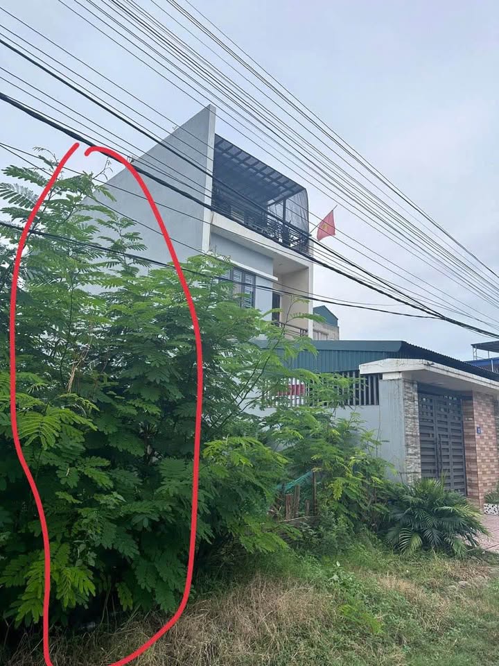 Đất nền 100m² đường Máng Nước, An Đồng, An Dương giá chỉ 4.3 tỷ - Cơ hội đầu tư tuyệt vời!