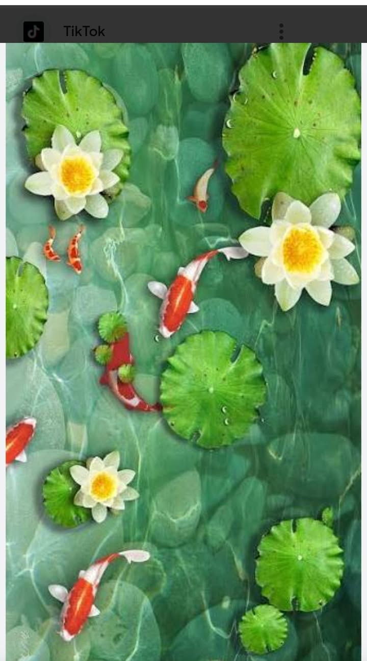 Đất nền Hải Nhân Nghi Sơn 125m² giá 1.45 tỷ - Đường thông ô tô, dân cư đông đúc!