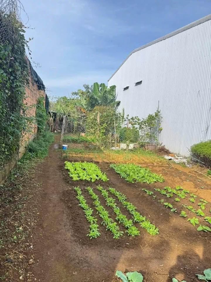 Nhà hẻm 28 Mạc Đỉnh Chi, Bảo Lộc 141m² giá 2.65 tỷ - Sổ hồng chính chủ, thương lượng nhẹ!