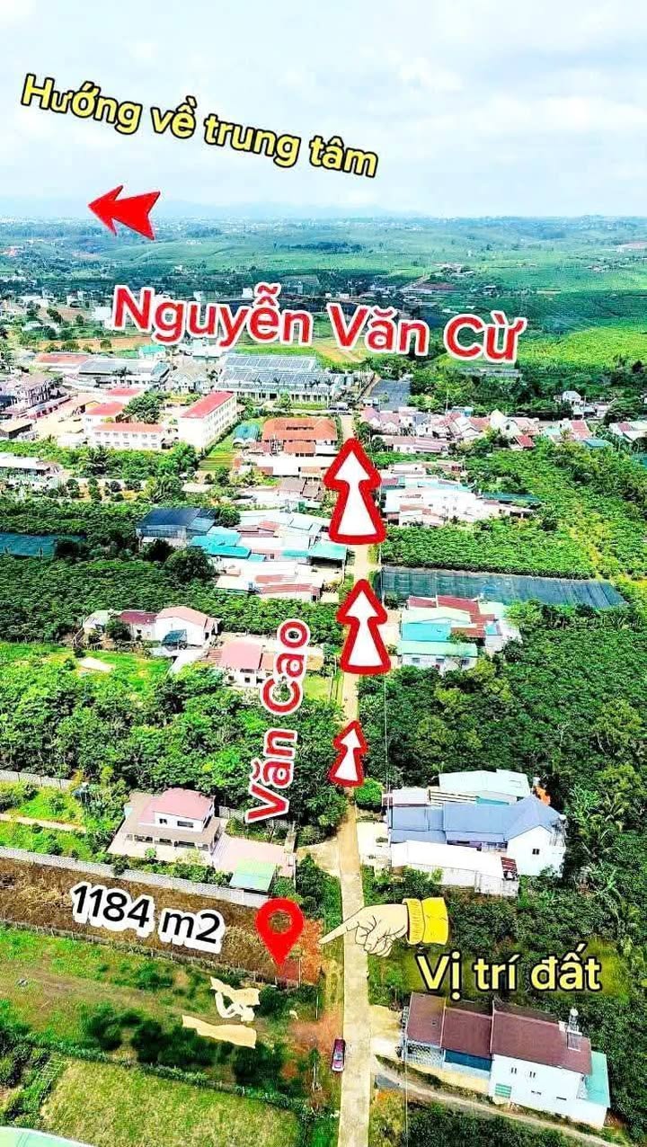 Đất thổ cư mặt đường Văn Cao, Bảo Lộc 1184m² giá chỉ 3.3 tỷ - Cơ hội đầu tư hấp dẫn!