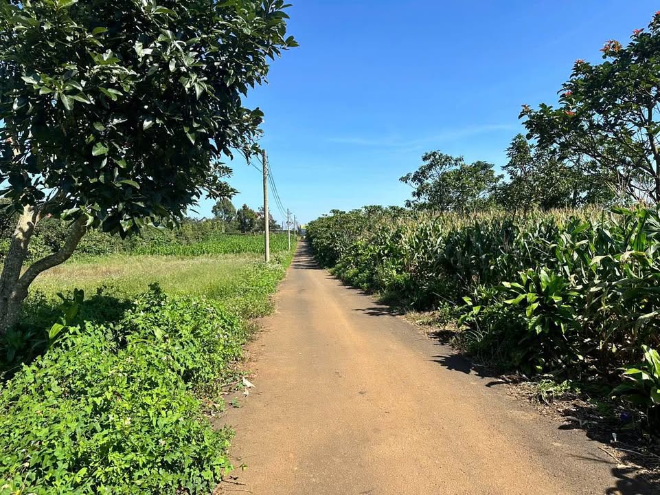 Đất thổ cư 450m² tại Lộc Ngãi, Bảo Lâm - Giá 3.45 tỷ, view đẹp thoáng!