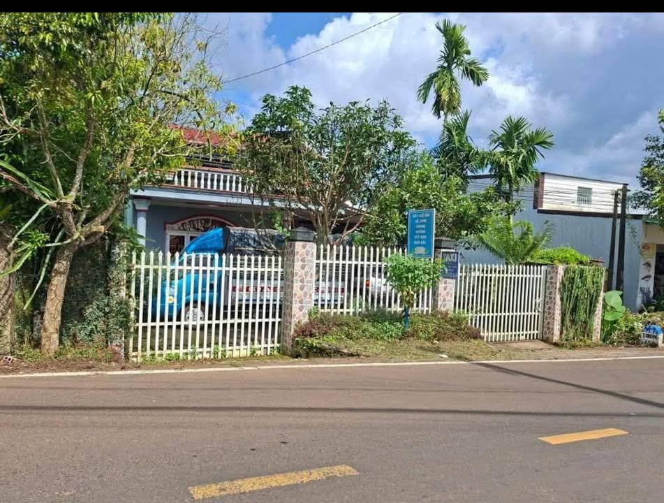 Nhà đất Bảo Lâm 25000m² giá 5.5 tỷ - Mặt đường 725, thương lượng hấp dẫn!