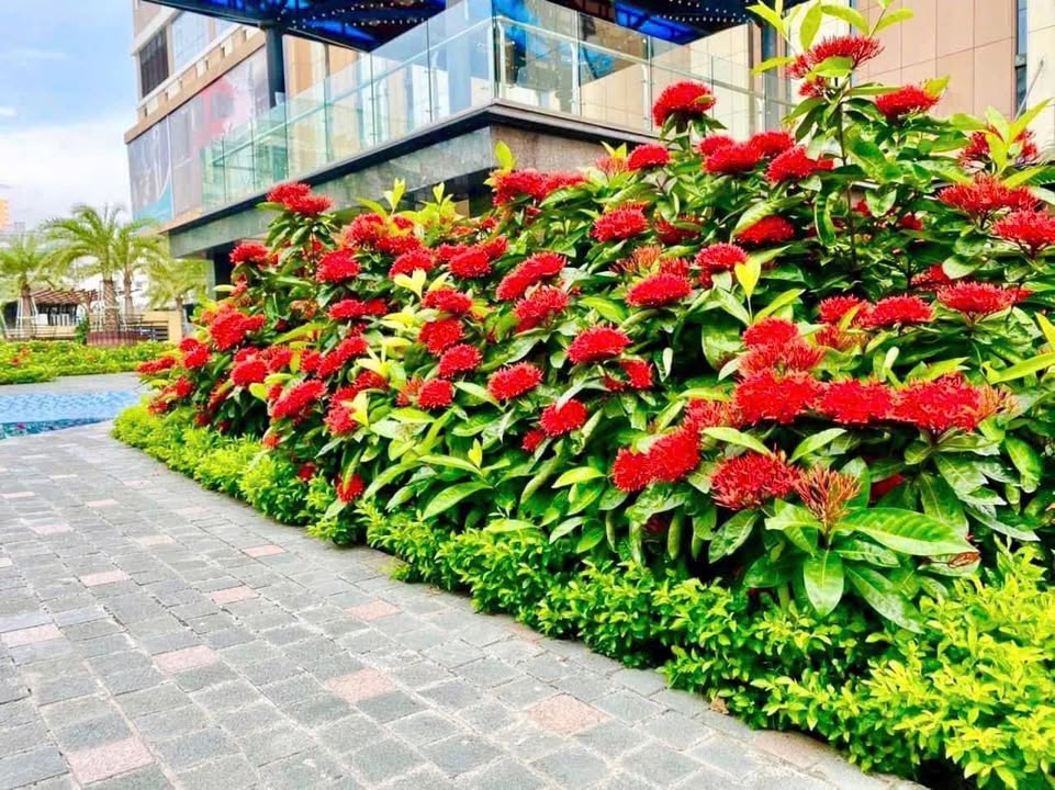 Căn hộ 6th Element Tây Hồ 60m² giá từ 7 tỷ - Cơ hội đầu tư lý tưởng!