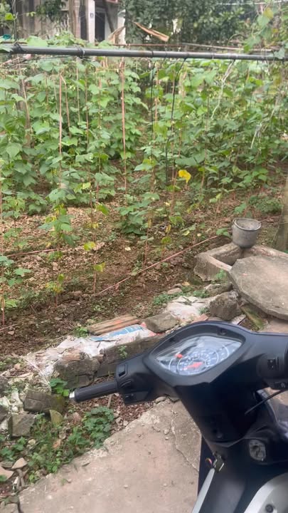 Đất Tự Nhiên Thường Tín 80m² giá 3 tỷ - Mặt tiền 7.63m, Ô tô đỗ cửa!