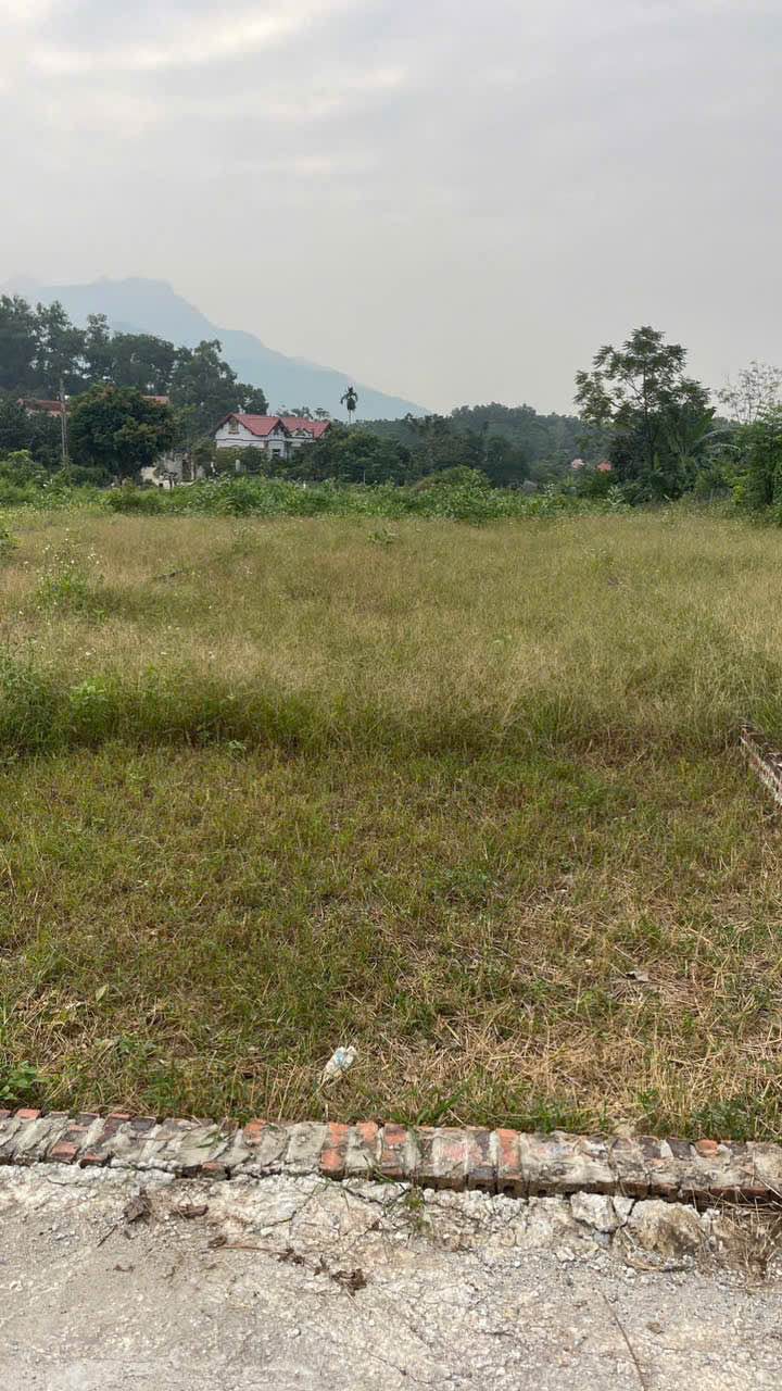 Đất nền Ba Trại, Ba Vì 200m² giá 1.1 tỷ - Đường ô tô tránh, đầu tư lý tưởng!