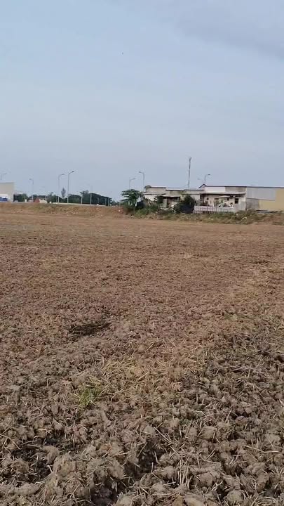 Đất nông nghiệp An Lạc Hồng Ngự 10.000m² giá 6,5 tỷ - Cơ hội đầu tư sinh lời!