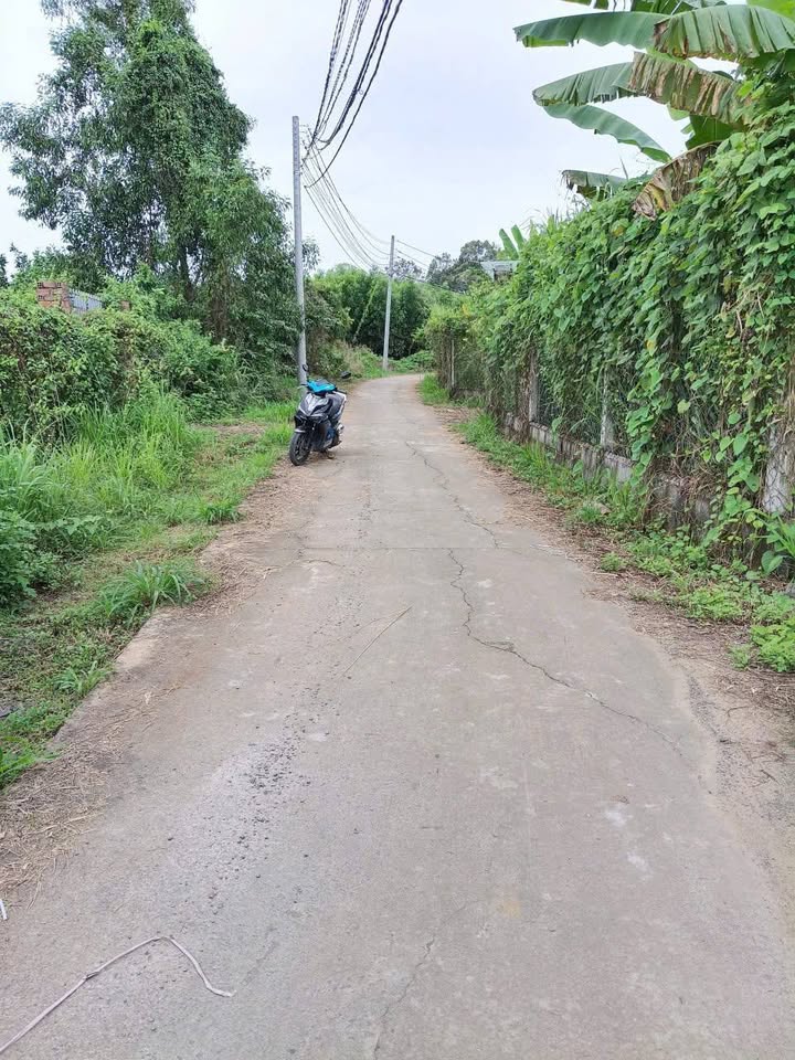 Nhà Vườn 7.300m² Bình Lợi, Vĩnh Cửu giá 11.44 tỷ - Sổ riêng, ô tô vào tận nơi!