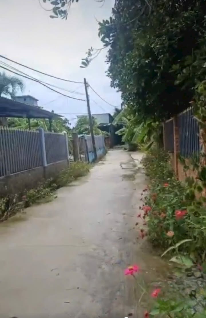 Đất nền Ấp 5, Bình Mỹ, Củ Chi 1890m² giá 15 tỷ - Sổ đỏ chính chủ, xây dựng tự do!