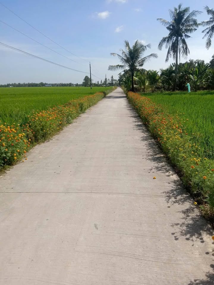 Đất ruộng 3.900 công tại Ấp PecDon, Sóc Trăng - Giá chỉ 117 tỷ, vị trí dễ tiếp cận!