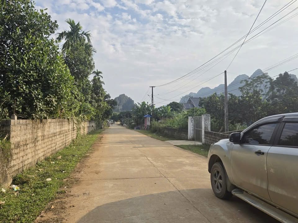 Đất nền Thanh Sơn - Lương Sơn 100m² chỉ từ 300 triệu - Đầu tư kinh doanh lý tưởng!