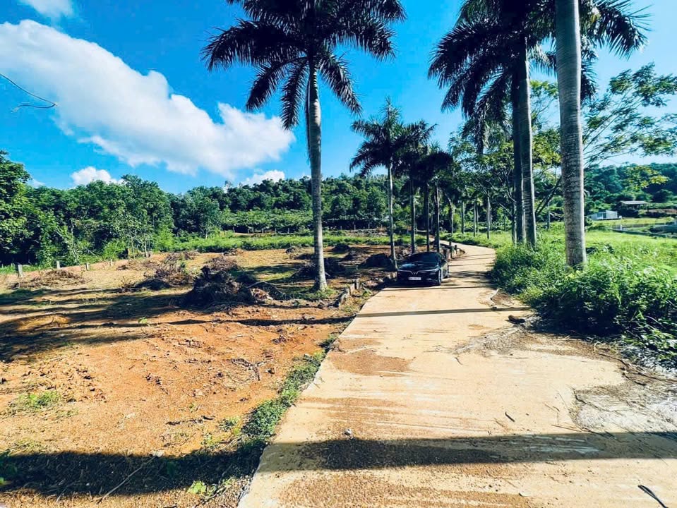 Đất nghỉ dưỡng Yên Bài, Ba Vì 1727m² - Giá thỏa thuận, vị trí đắc địa!