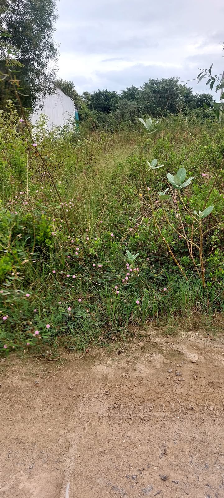 Lô đất Phước Thượng, Nha Trang 78m² giá 1.3 tỷ - Bán gấp, chính chủ!