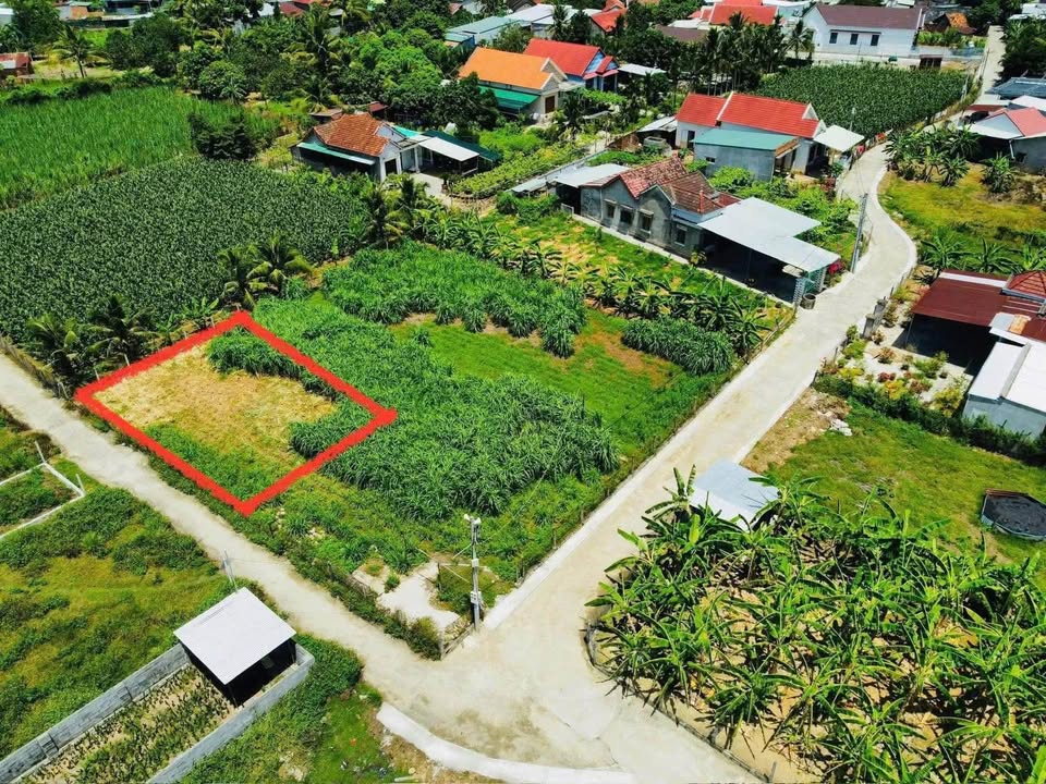 Đất nền Diên Lạc, Diên Khánh 330m² giá 2.145 tỷ - Cơ hội đầu tư tuyệt vời!