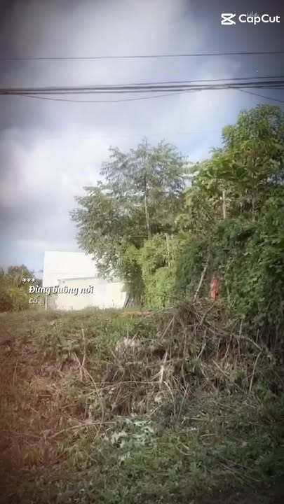 Đất nền 150m² thôn Đắk Phúc, Đắk Mil - Giá chỉ 990 triệu, thương lượng tốt!