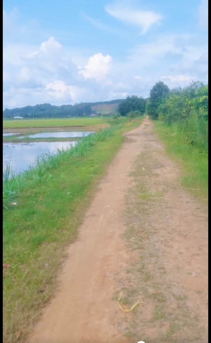 Đất nông nghiệp 5 sào mặt tiền đường B5 An Nhơn 1 tỷ - Sổ hồng riêng chính chủ!