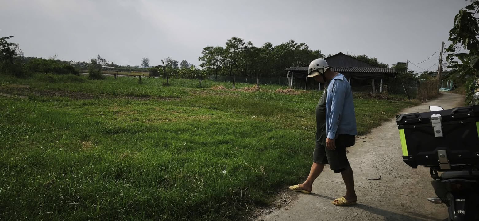 Đất nền Tân Hòa, Thanh Bình 495m² - Giá thỏa thuận bất ngờ!