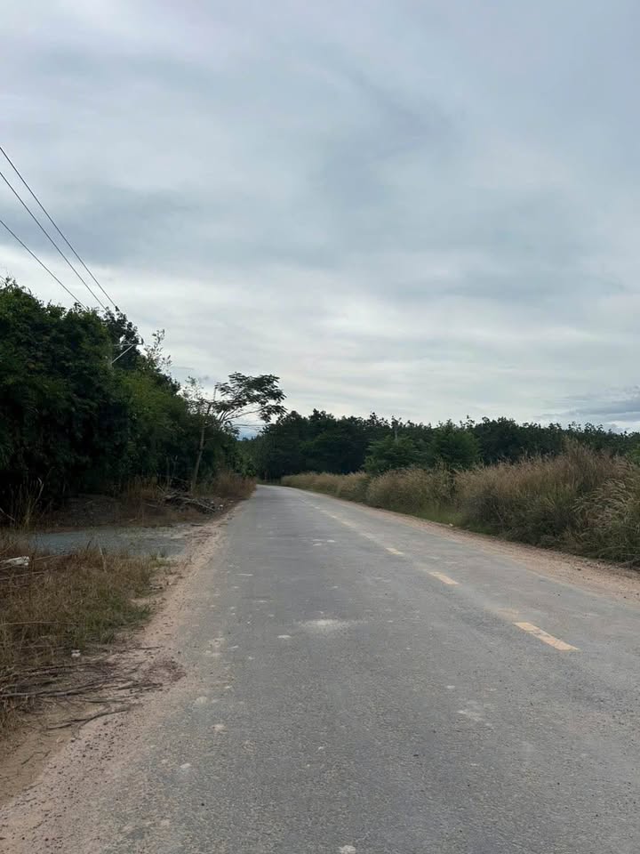 Đất nền SKC Đất Cuốc, Bắc Tân Uyên 3500m² giá 12 tỷ - Đầu tư sinh lời ngay!