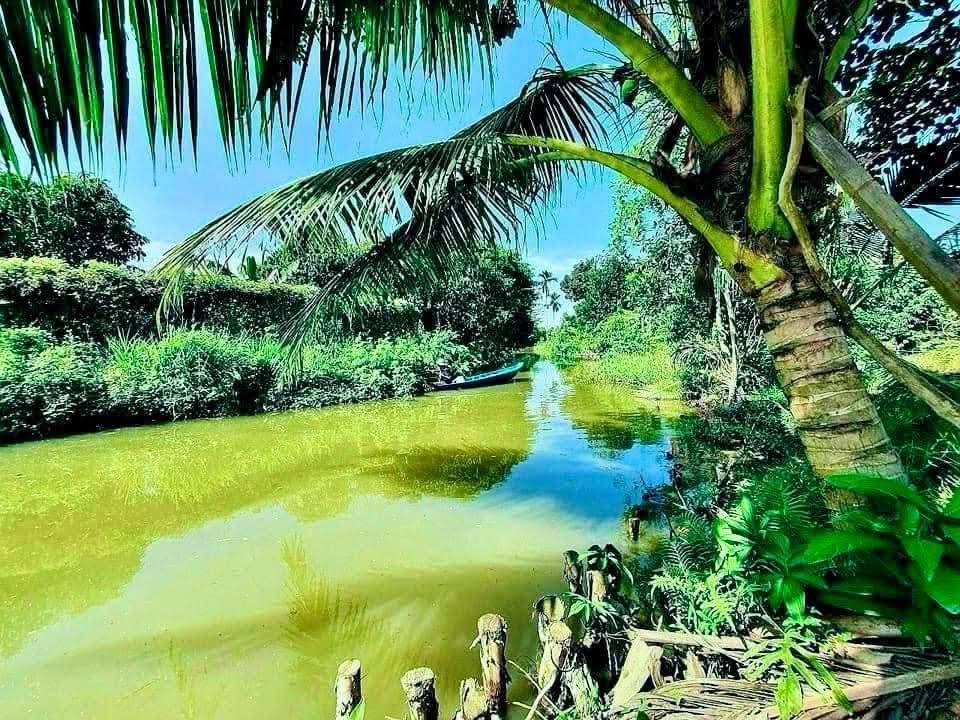 Đất vườn Tân An 1400m² giá chỉ 4.9 tỷ - Cơ hội đầu tư tuyệt vời!